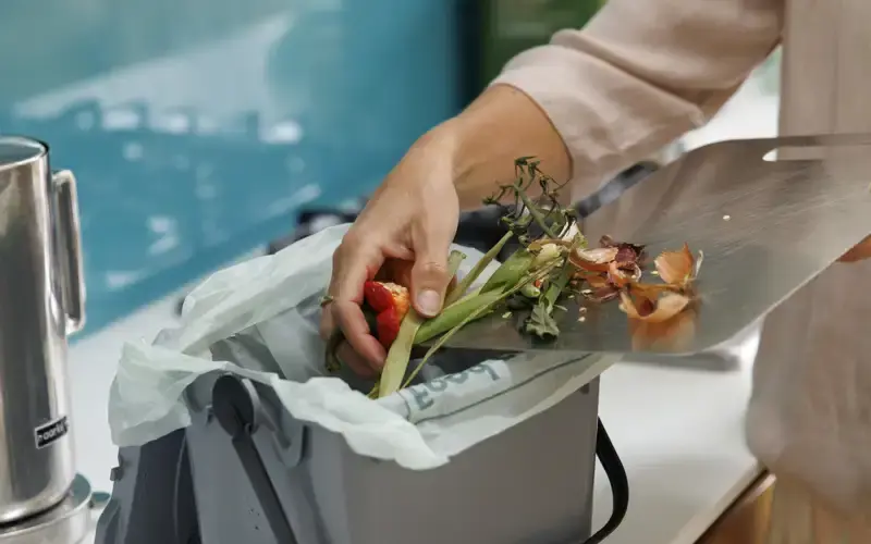 food waste